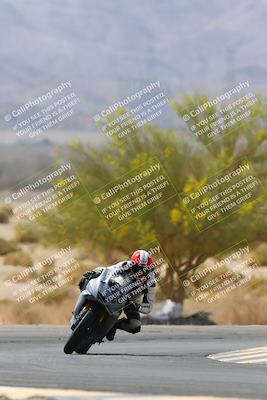 media/Apr-10-2022-SoCal Trackdays (Sun) [[f104b12566]]/Turn 5 Tree of Life (1040am)/